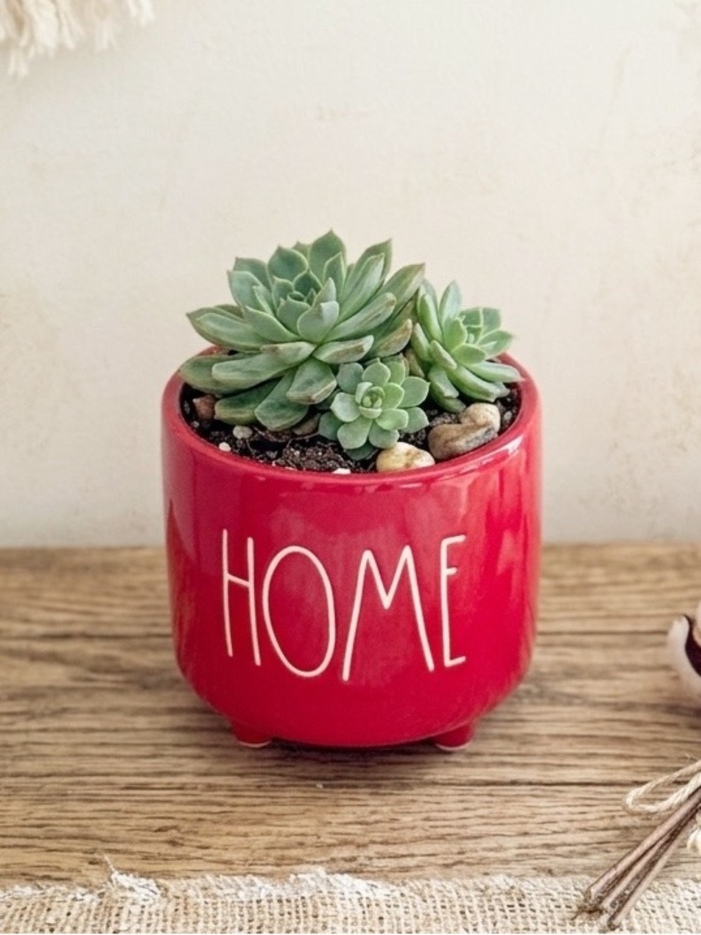 Rae Dunn HOME Bright Red Ceramic Footed Planter Farmhouse Boho Eclectic Decor - Picture 7 of 7